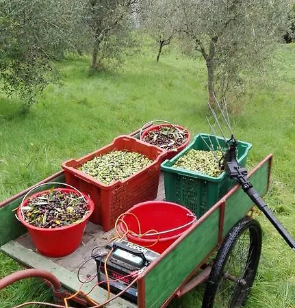 La Volpe E L'uva *