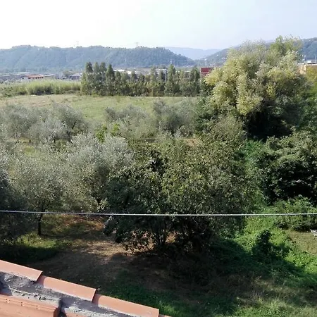 La Volpe E L'uva Santo Stefano di Magra